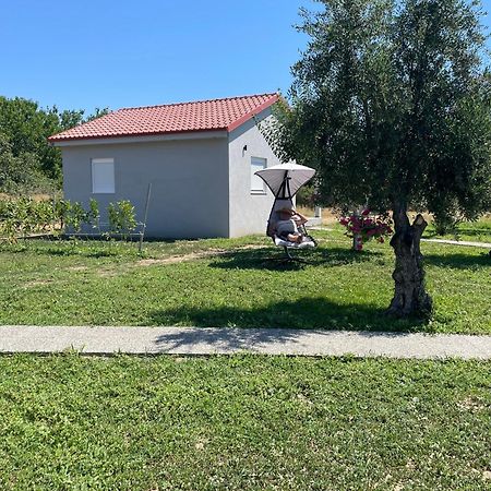 Ktima Mimoza Appartement Sykia Chalkidikis Buitenkant foto