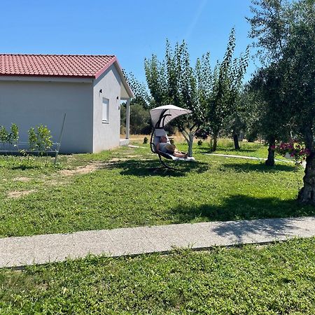Ktima Mimoza Appartement Sykia Chalkidikis Buitenkant foto