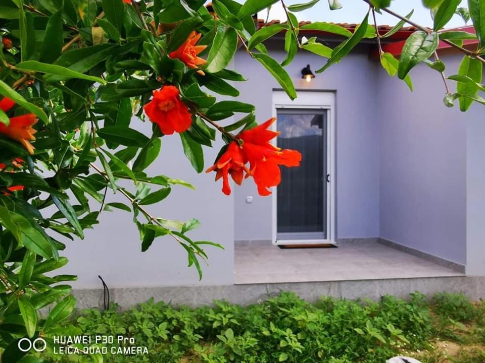 Ktima Mimoza Appartement Sykia Chalkidikis Buitenkant foto